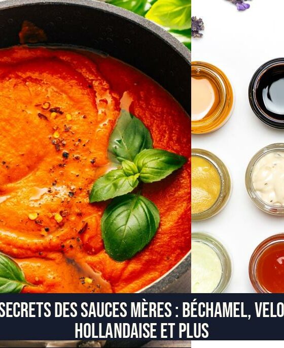 Les Secrets des Sauces Mères : Béchamel, Velouté, Hollandaise et Plus