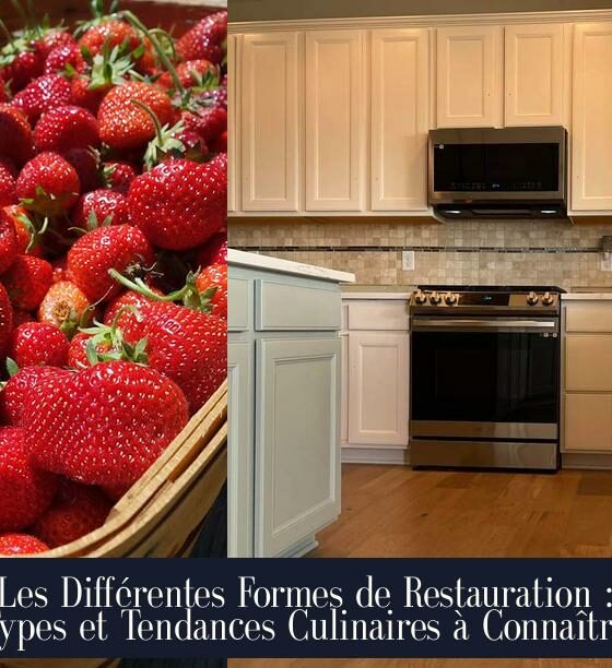 Les Différentes Formes de Restauration : Types et Tendances Culinaires à Connaître