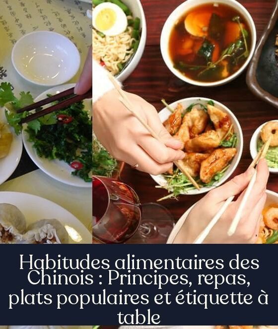 Habitudes alimentaires des Chinois : Principes, repas, plats populaires et étiquette à table