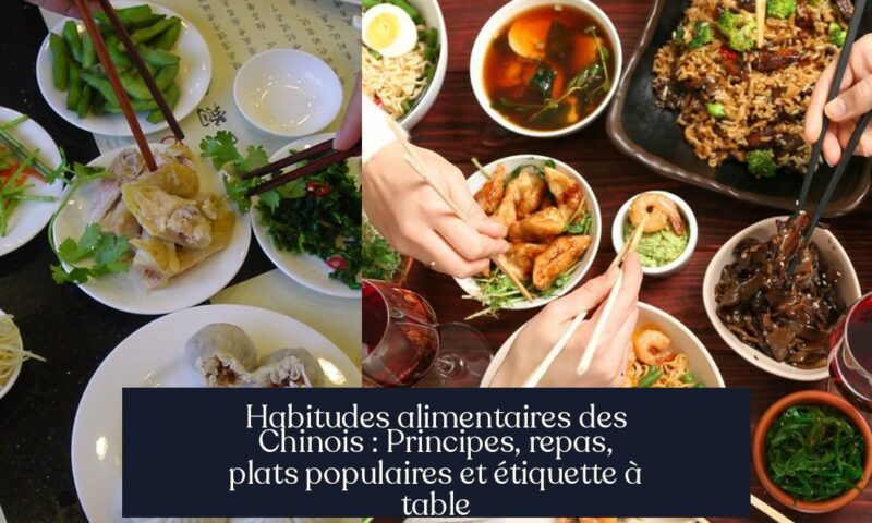 Habitudes alimentaires des Chinois : Principes, repas, plats populaires et étiquette à table
