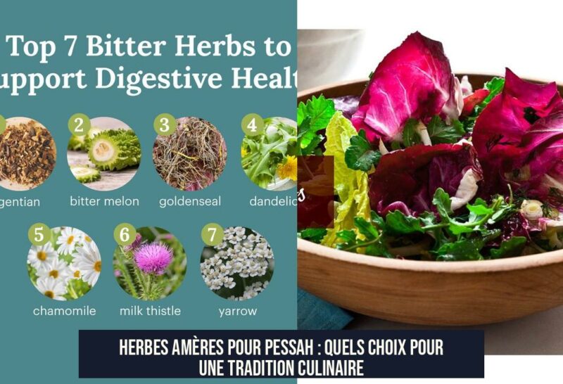 Herbes amères pour Pessah : quels choix pour une tradition culinaire