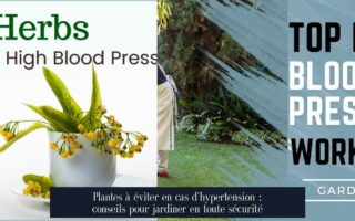Plantes à éviter en cas d'hypertension : conseils pour jardiner en toute sécurité