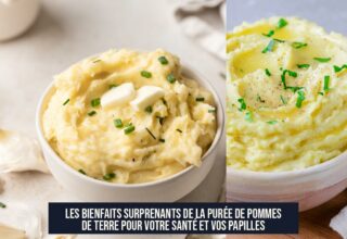 Les bienfaits surprenants de la purée de pommes de terre pour votre santé et vos papilles