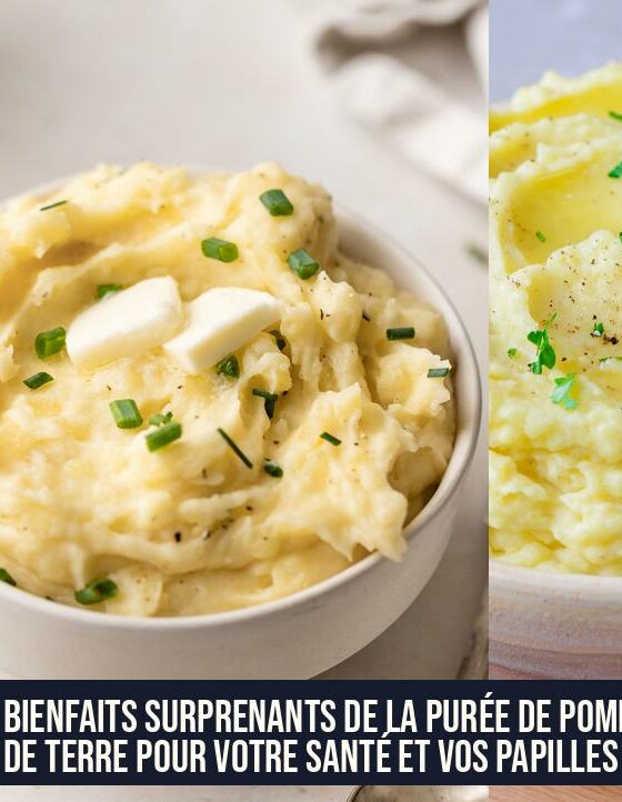 Les bienfaits surprenants de la purée de pommes de terre pour votre santé et vos papilles