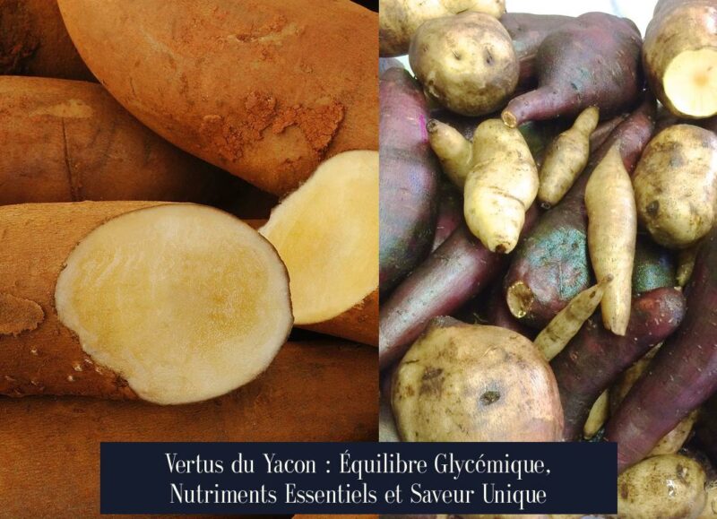 Vertus du Yacon : Équilibre Glycémique, Nutriments Essentiels et Saveur Unique