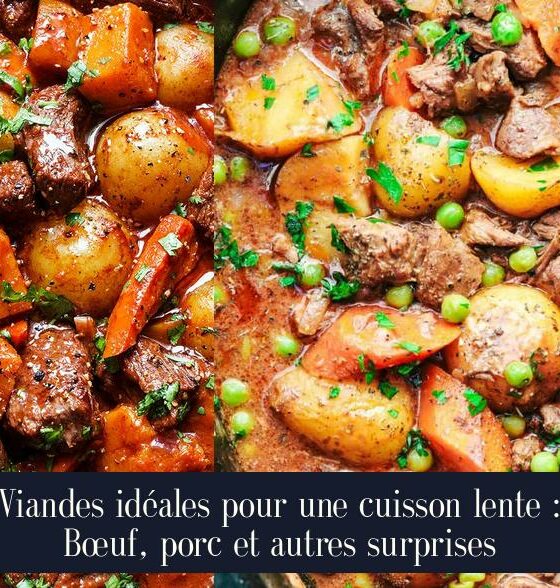 Viandes idéales pour une cuisson lente : Bœuf, porc et autres surprises