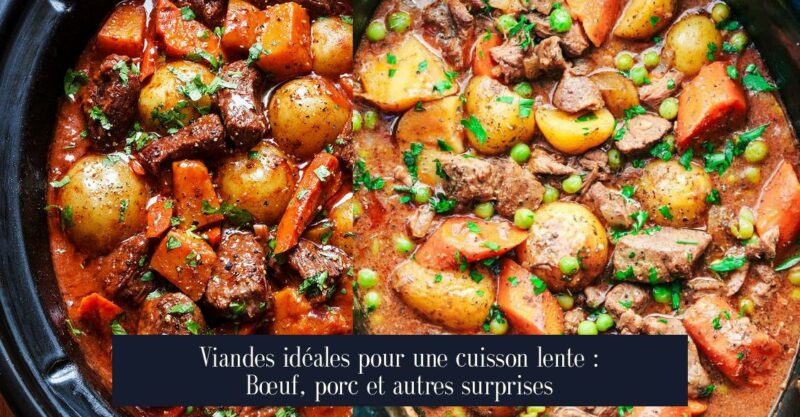 Viandes idéales pour une cuisson lente : Bœuf, porc et autres surprises