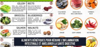 Aliments bénéfiques pour réduire l'inflammation intestinale et améliorer la santé digestive