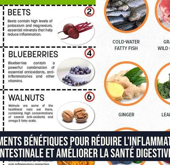 Aliments bénéfiques pour réduire l'inflammation intestinale et améliorer la santé digestive