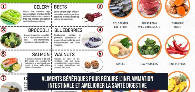 Aliments bénéfiques pour réduire l'inflammation intestinale et améliorer la santé digestive