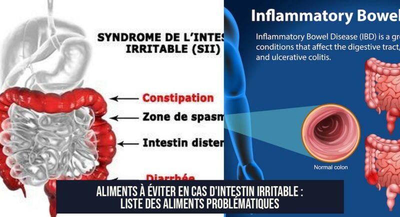 Aliments à éviter en cas d'intestin irritable : liste des aliments problématiques