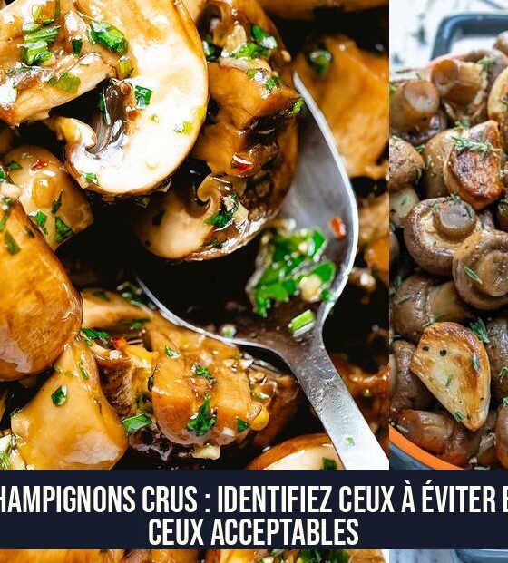 Champignons Crus : Identifiez Ceux à Éviter et Ceux Acceptables