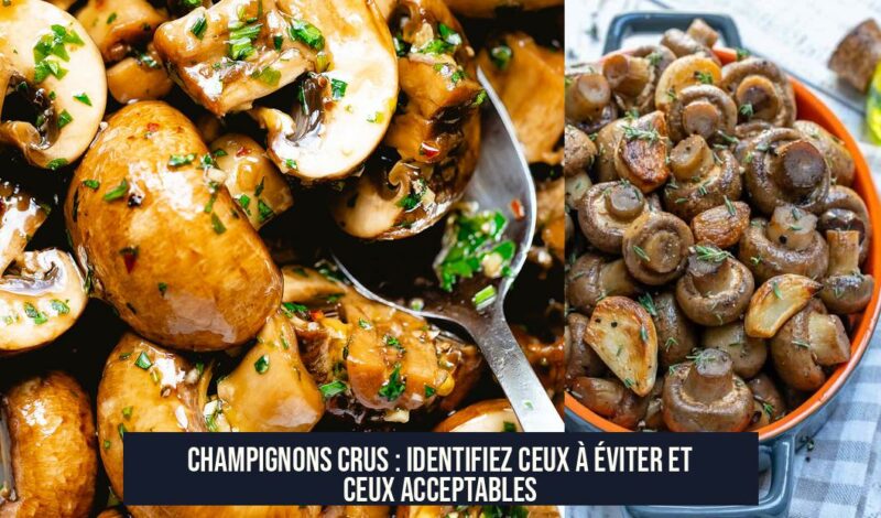 Champignons Crus : Identifiez Ceux à Éviter et Ceux Acceptables
