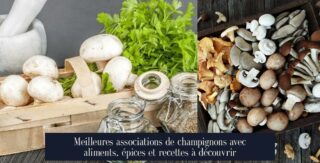 Meilleures associations de champignons avec aliments, épices et recettes à découvrir