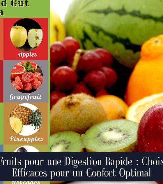 Fruits pour une Digestion Rapide : Choix Efficaces pour un Confort Optimal