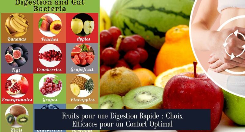 Fruits pour une Digestion Rapide : Choix Efficaces pour un Confort Optimal