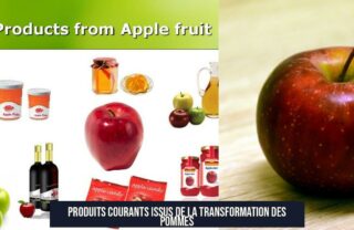 Produits courants issus de la transformation des pommes