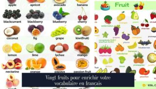Vingt fruits pour enrichir votre vocabulaire en français