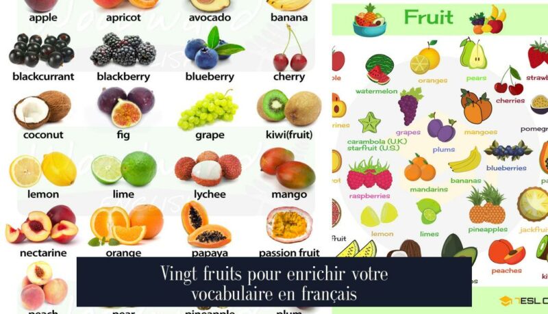 Vingt fruits pour enrichir votre vocabulaire en français