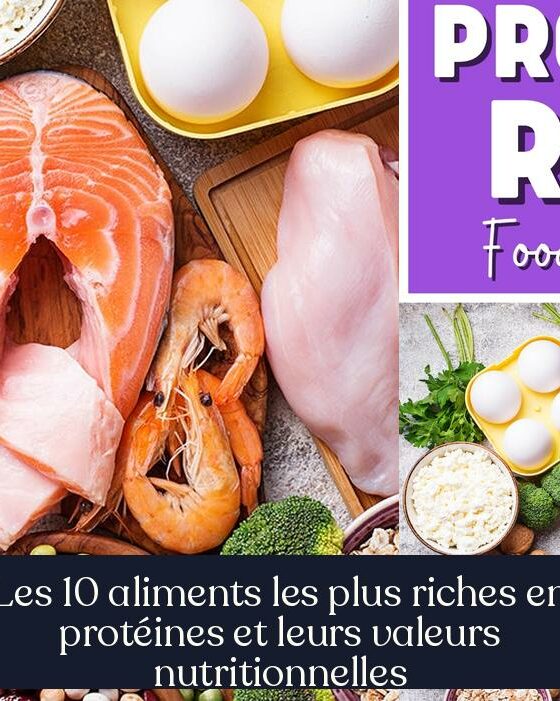 Les 10 aliments les plus riches en protéines et leurs valeurs nutritionnelles