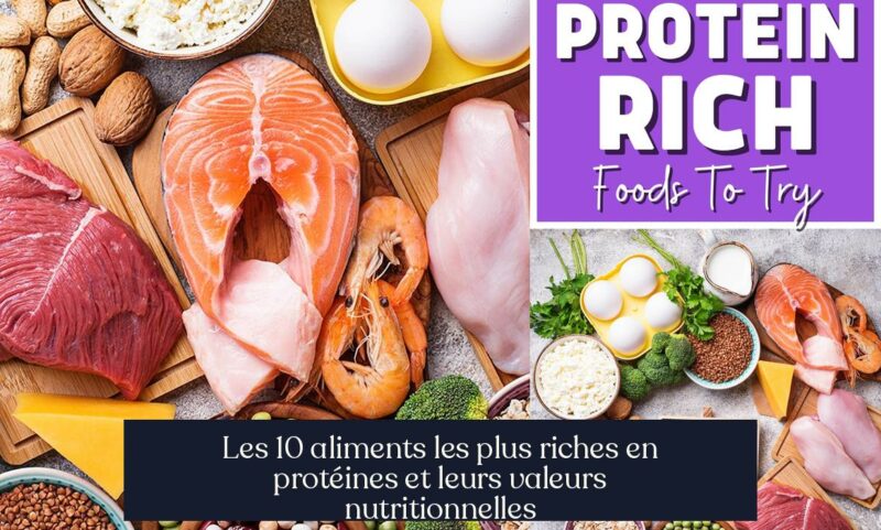 Les 10 aliments les plus riches en protéines et leurs valeurs nutritionnelles