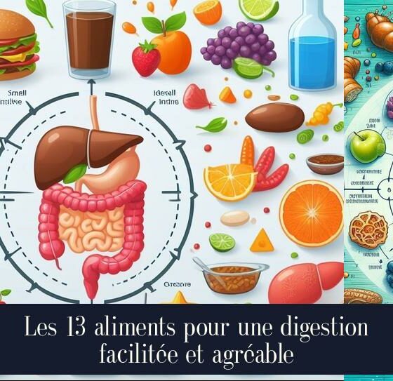 Les 13 aliments pour une digestion facilitée et agréable