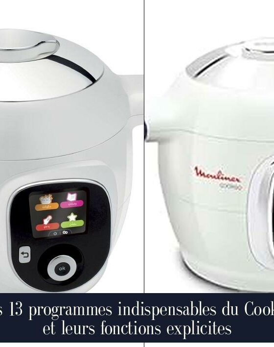 Les 13 programmes indispensables du Cookeo et leurs fonctions explicites
