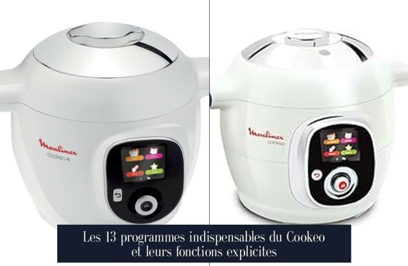 Les 13 programmes indispensables du Cookeo et leurs fonctions explicites