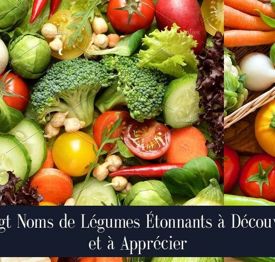 Vingt Noms de Légumes Étonnants à Découvrir et à Apprécier