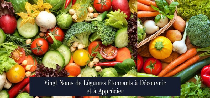 Vingt Noms de Légumes Étonnants à Découvrir et à Apprécier