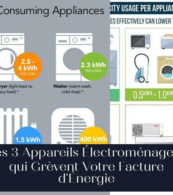 Les 3 Appareils Électroménagers qui Grèvent Votre Facture d'Énergie