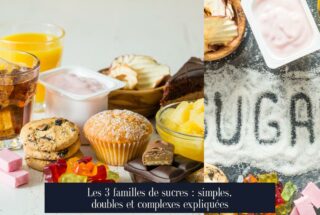 Les 3 familles de sucres : simples, doubles et complexes expliquées