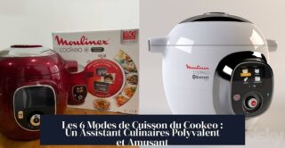 Les 6 Modes de Cuisson du Cookeo : Un Assistant Culinaires Polyvalent et Amusant