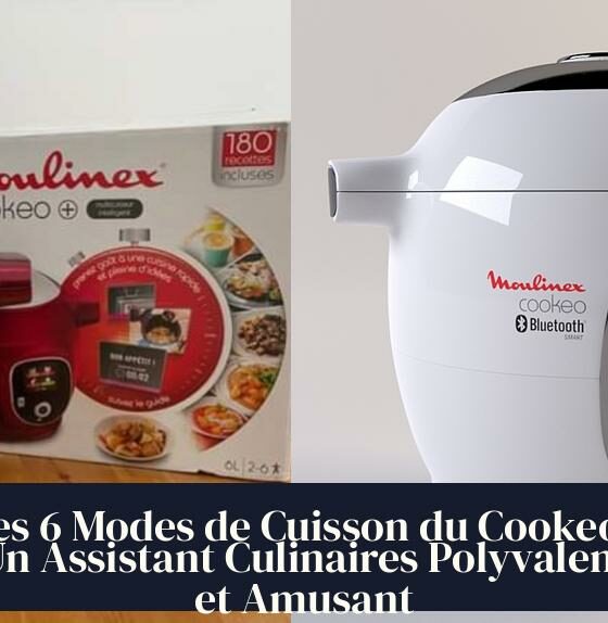 Les 6 Modes de Cuisson du Cookeo : Un Assistant Culinaires Polyvalent et Amusant