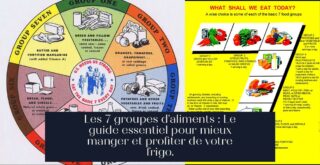 Les 7 groupes d'aliments : Le guide essentiel pour mieux manger et profiter de votre frigo.