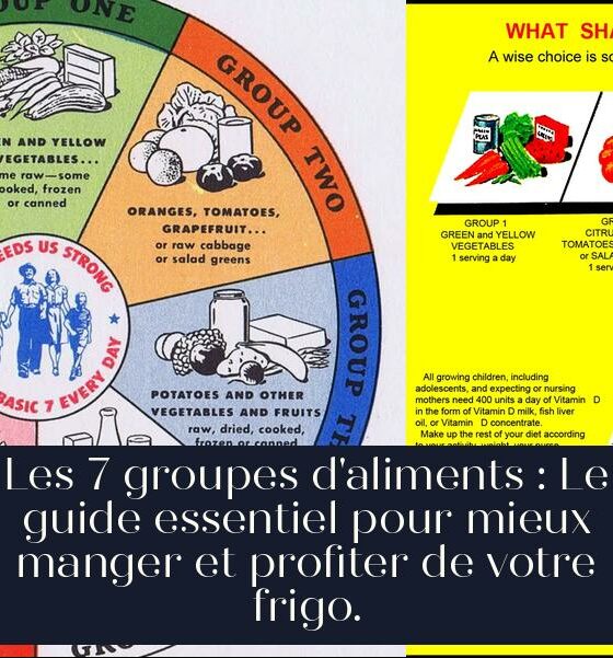 Les 7 groupes d'aliments : Le guide essentiel pour mieux manger et profiter de votre frigo.