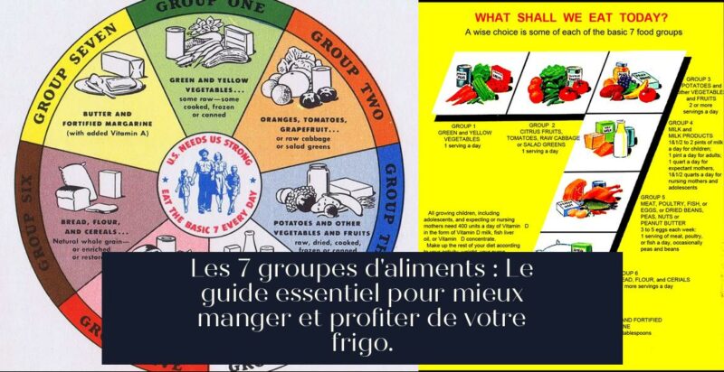 Les 7 groupes d'aliments : Le guide essentiel pour mieux manger et profiter de votre frigo.