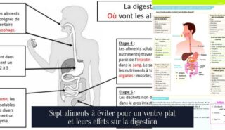 Sept aliments à éviter pour un ventre plat et leurs effets sur la digestion