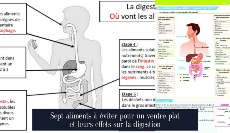 Sept aliments à éviter pour un ventre plat et leurs effets sur la digestion