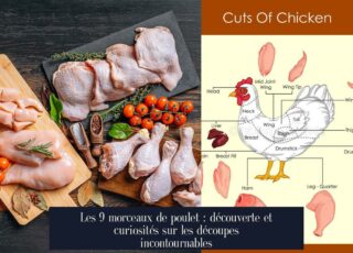 Les 9 morceaux de poulet : découverte et curiosités sur les découpes incontournables