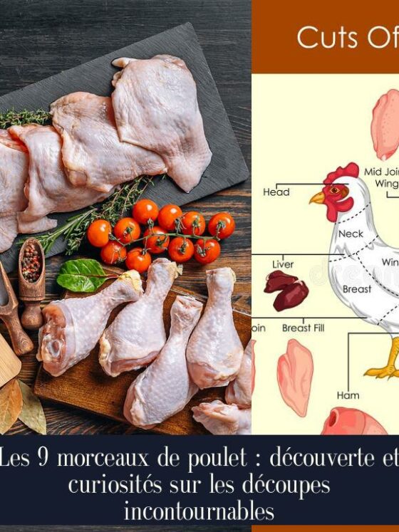 Les 9 morceaux de poulet : découverte et curiosités sur les découpes incontournables