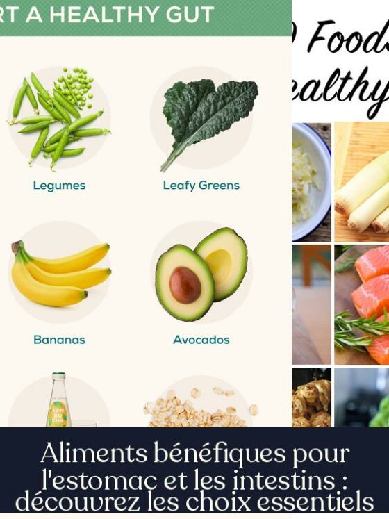 Aliments bénéfiques pour l'estomac et les intestins : découvrez les choix essentiels