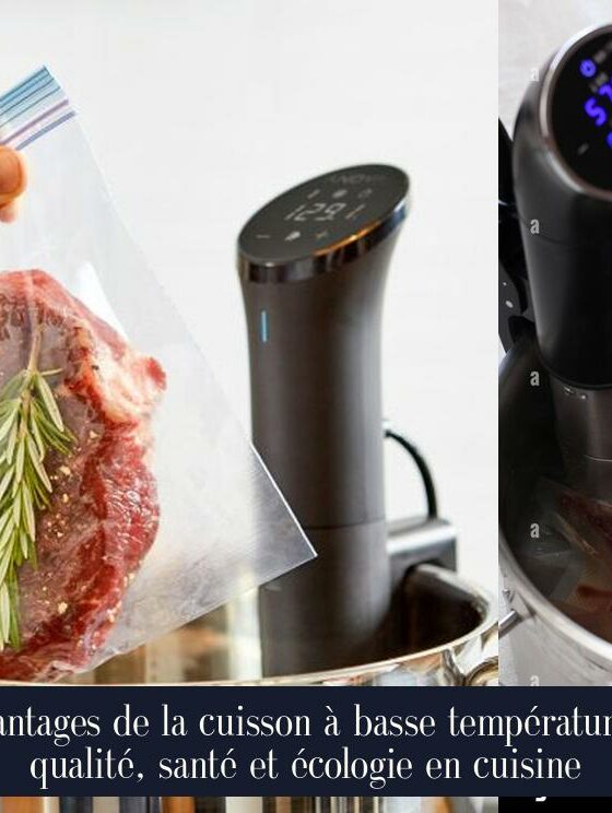 Avantages de la cuisson à basse température : qualité, santé et écologie en cuisine