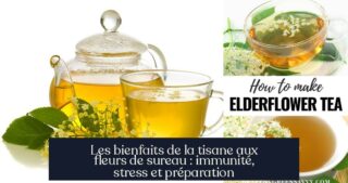 Les bienfaits de la tisane aux fleurs de sureau : immunité, stress et préparation