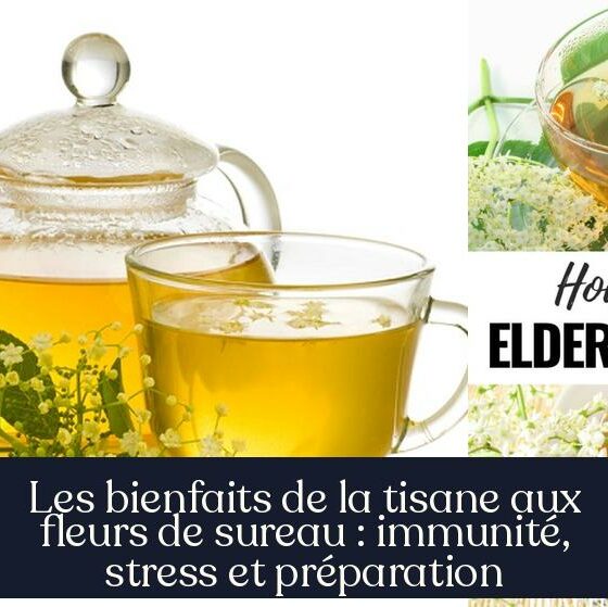 Les bienfaits de la tisane aux fleurs de sureau : immunité, stress et préparation