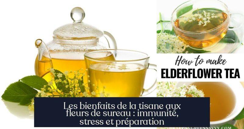 Les bienfaits de la tisane aux fleurs de sureau : immunité, stress et préparation