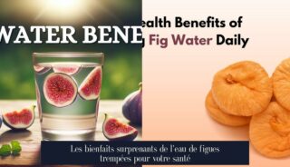 Les bienfaits surprenants de l'eau de figues trempées pour votre santé