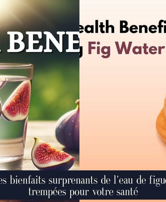Les bienfaits surprenants de l'eau de figues trempées pour votre santé