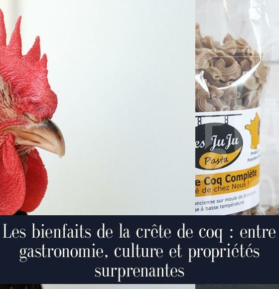 Les bienfaits de la crête de coq : entre gastronomie, culture et propriétés surprenantes