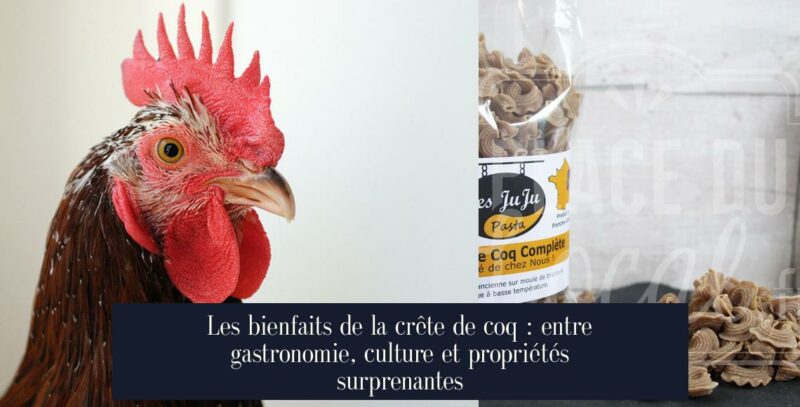 Les bienfaits de la crête de coq : entre gastronomie, culture et propriétés surprenantes